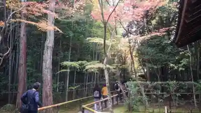 大徳寺(京都府)
