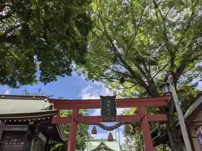 須賀神社の鳥居