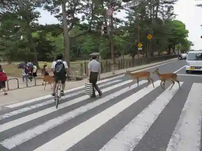 興福寺(奈良県)