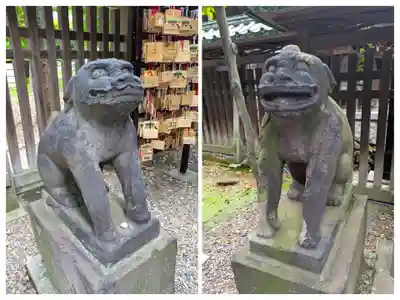 牛嶋神社の狛犬