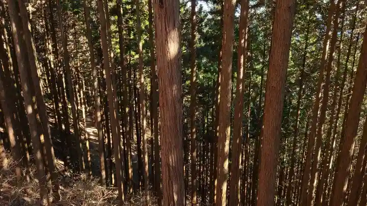 武蔵御嶽神社(東京都)
