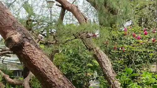 最勝寺教学院の庭園