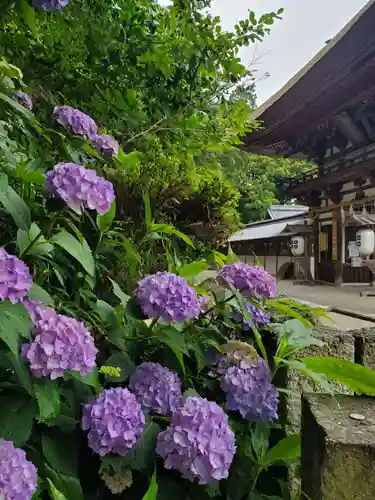 沙沙貴神社(滋賀県)