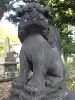 新琴似神社の狛犬