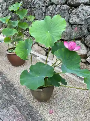 長谷寺(奈良県)