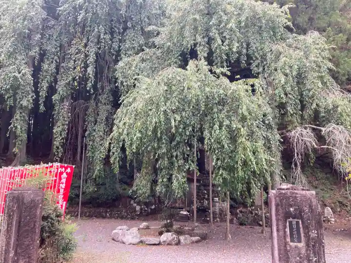 朝日之祖師堂(山梨県)