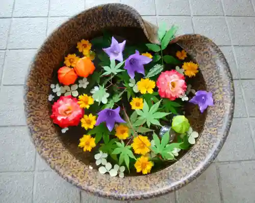 美瑛神社の手水舎