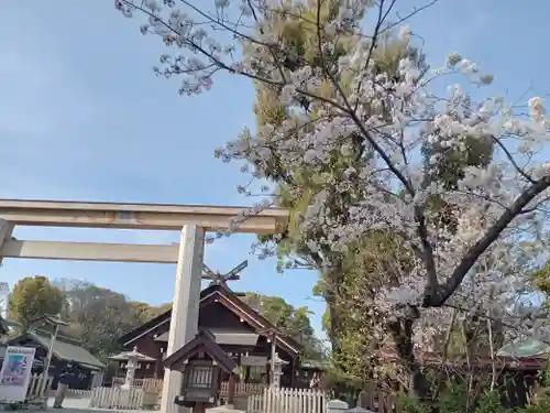 和泉國一之宮　大鳥大社の鳥居