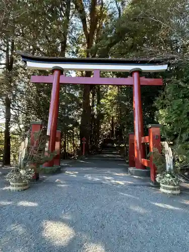 東霧島神社の{uncategorized: "未分類", other: "その他", undefined: "問題あり", building: "その他建物", grave: "お墓", sacred_gate: "鳥居", guardian: "狛犬", statue: "像", buddha: "仏像", history: "歴史", nature: "自然", garden: "庭園", animal: "動物", pagoda: "塔", temizu: "手水舎", mountain_gate: "山門・神門", sanctuary: "本殿・本堂", subordinate: "末社・摂社", art: "芸術", scenery: "景色", jizo: "地蔵", ema: "絵馬", goshuin: "御朱印", omikuji: "おみくじ", items: "授与品その他", amulet: "お守り", goshuincho: "御朱印帳", eats: "食事", festival: "お祭り", votive_dance: "神楽", shichigosan: "七五三参", wedding: "結婚式", experience: "体験その他", initially: "初詣", around: "周辺", anti_infection: "感染症対策"}