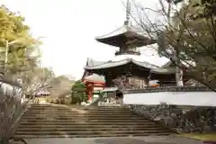 高山寺の建物その他