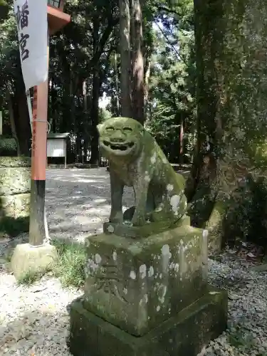 間々田八幡宮の狛犬