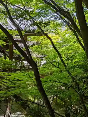 禅林寺(永観堂)(京都府)