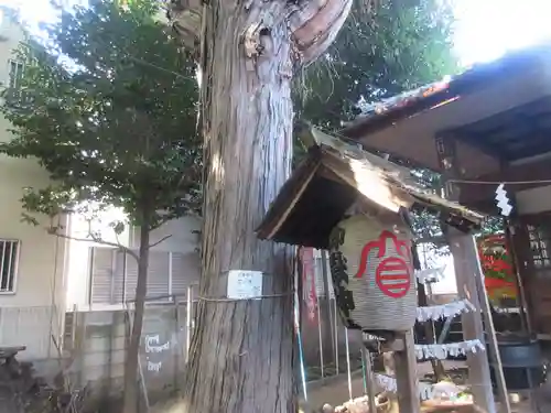 御嶽神社(東京都)