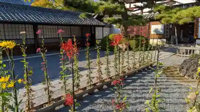 大覚寺(京都府)