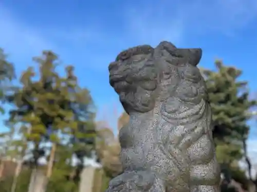 神明神社の狛犬