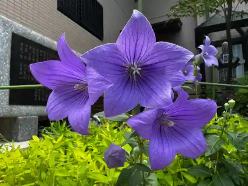 十日恵比須神社(福岡県)