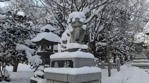 神楽神社の狛犬