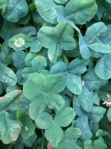羽黒神社(岡山県)