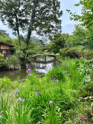 梅宮大社(京都府)
