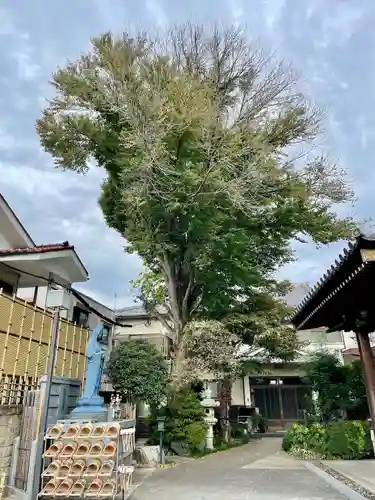 自性院(東京都)