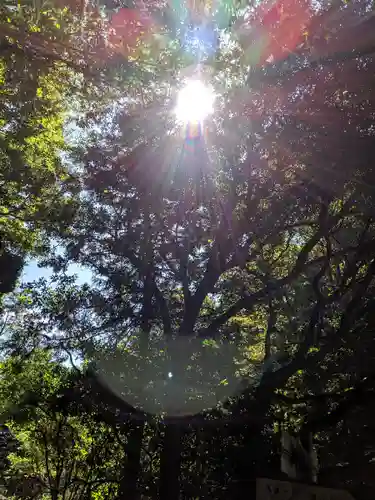 椿大神社(三重県)