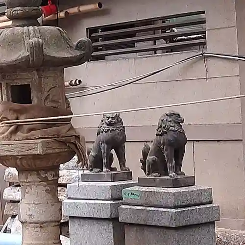 天祖神社の狛犬