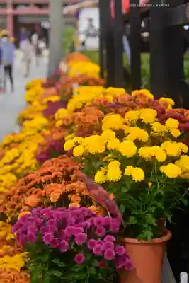 笠間稲荷神社(茨城県)