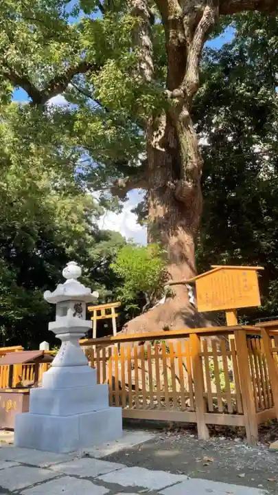 和泉國一之宮 大鳥大社のその他建物