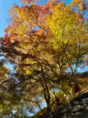 談山神社(奈良県)