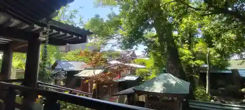 石切劔箭神社(大阪府)
