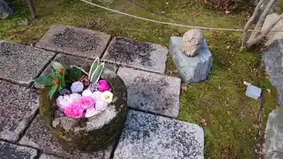 勝林寺(京都府)