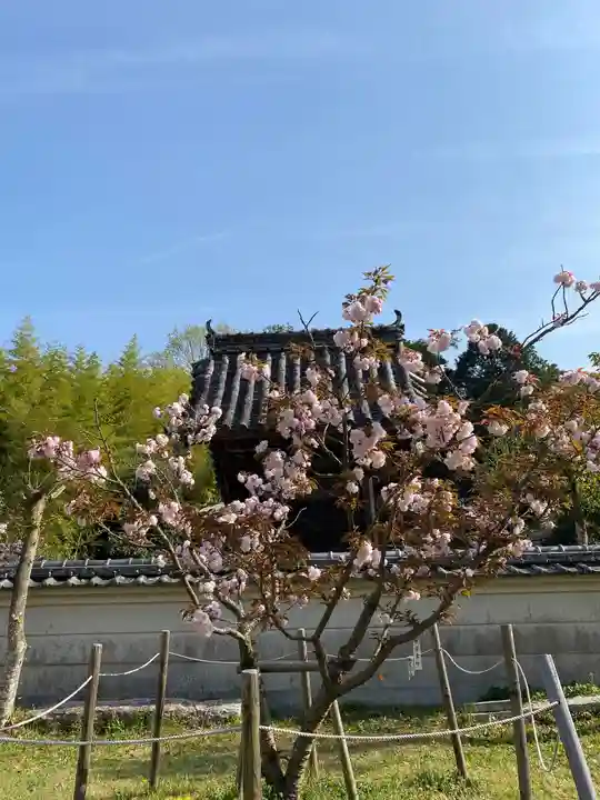 素戔嗚神社の自然