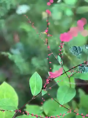 山家神社(長野県)