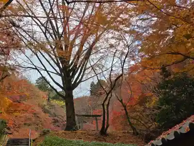 延命寺(大阪府)