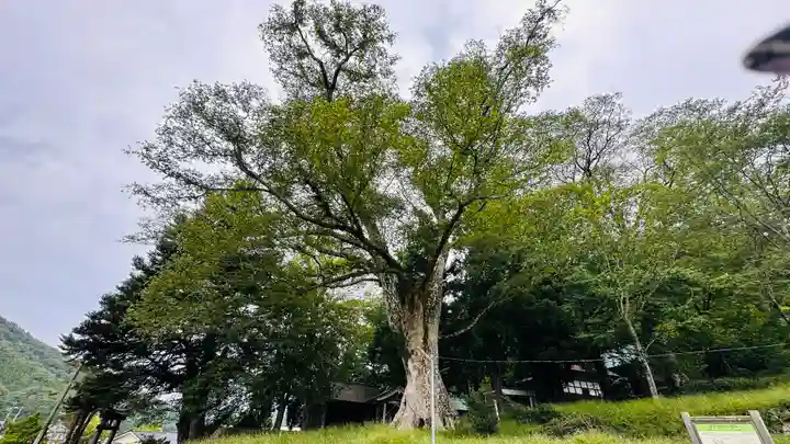 一宮神社(兵庫県)