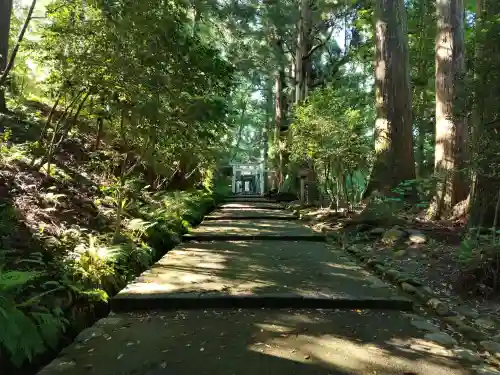 白山比咩神社の{uncategorized: "未分類", other: "その他", undefined: "問題あり", building: "その他建物", grave: "お墓", sacred_gate: "鳥居", guardian: "狛犬", statue: "像", buddha: "仏像", history: "歴史", nature: "自然", garden: "庭園", animal: "動物", pagoda: "塔", temizu: "手水舎", mountain_gate: "山門・神門", sanctuary: "本殿・本堂", subordinate: "末社・摂社", art: "芸術", scenery: "景色", jizo: "地蔵", ema: "絵馬", goshuin: "御朱印", omikuji: "おみくじ", items: "授与品その他", amulet: "お守り", goshuincho: "御朱印帳", eats: "食事", festival: "お祭り", votive_dance: "神楽", shichigosan: "七五三参", wedding: "結婚式", experience: "体験その他", initially: "初詣", around: "周辺", anti_infection: "感染症対策"}