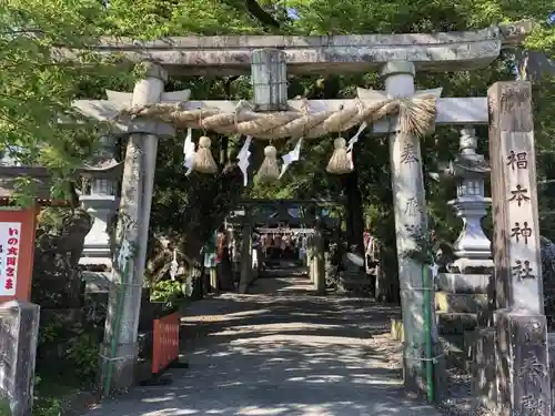 椙本神社の鳥居