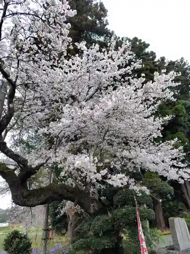 笠石神社(栃木県)