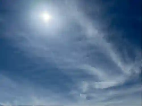 雀神社(茨城県)