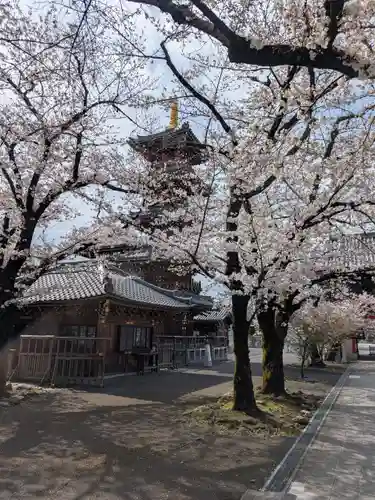 本覚院(東京都)