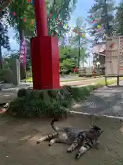 飯福神社(群馬県)