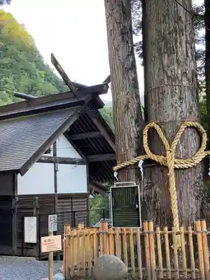 奥氷川神社の御朱印