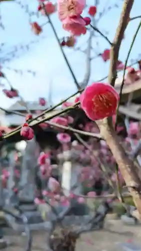 椎尾山薬王院の{uncategorized: "未分類", other: "その他", undefined: "問題あり", building: "その他建物", grave: "お墓", sacred_gate: "鳥居", guardian: "狛犬", statue: "像", buddha: "仏像", history: "歴史", nature: "自然", garden: "庭園", animal: "動物", pagoda: "塔", temizu: "手水舎", mountain_gate: "山門・神門", sanctuary: "本殿・本堂", subordinate: "末社・摂社", art: "芸術", scenery: "景色", jizo: "地蔵", ema: "絵馬", goshuin: "御朱印", omikuji: "おみくじ", items: "授与品その他", amulet: "お守り", goshuincho: "御朱印帳", eats: "食事", festival: "お祭り", votive_dance: "神楽", shichigosan: "七五三参", wedding: "結婚式", experience: "体験その他", initially: "初詣", around: "周辺", anti_infection: "感染症対策"}