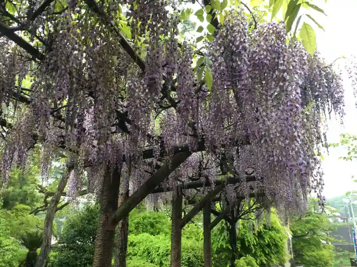 與止日女神社の自然