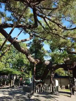立木神社(滋賀県)