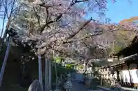 紫雲寺の景色