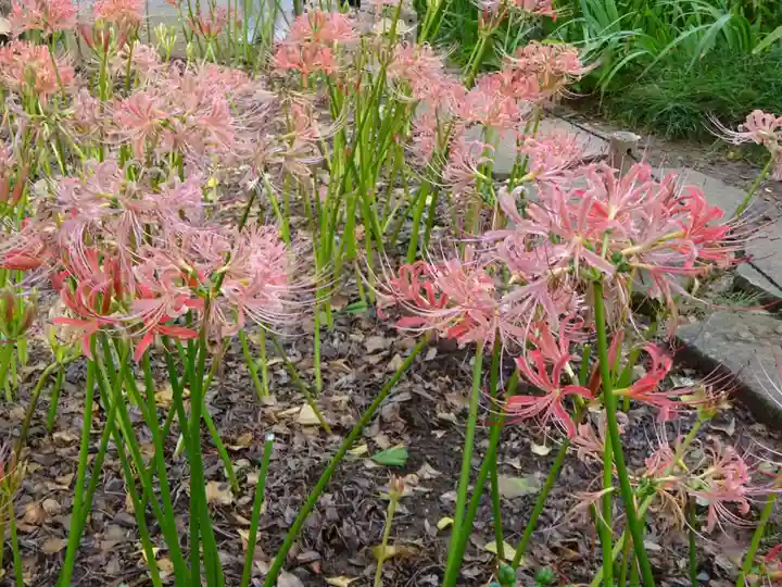 横浜 西方寺の自然