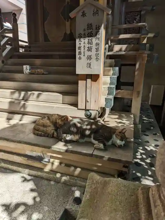 小野照崎神社の動物