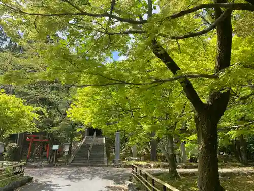 岩屋寺のその他建物