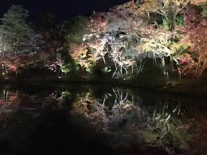 高台寺(高台寿聖禅寺・高臺寺)(京都府)